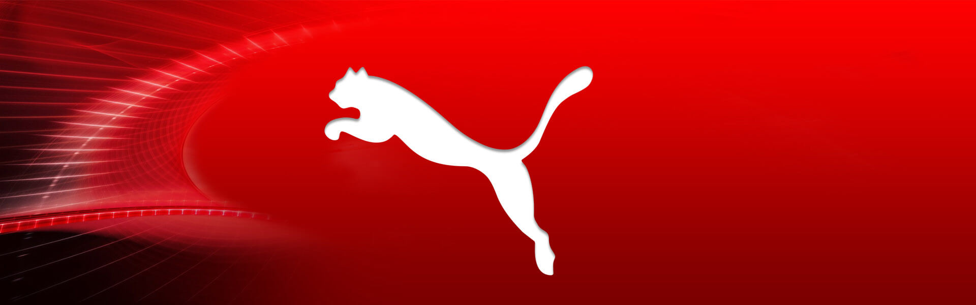 Case Study Database Publishing for PUMA